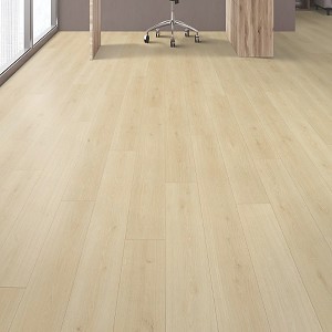 Boardwalk Collective